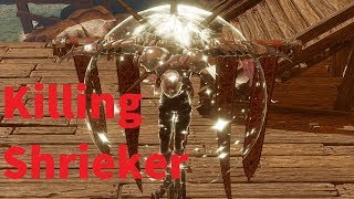 Killing a Shrieker  Divinity Original Sin 2 [upl. by Quickel]