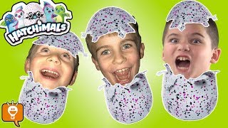 NEW HATCHIMALS SURPRISE Egg TOY Fun New Toy Haul HobbyFamilyTV [upl. by Ambrosia291]