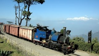 India 2016  Freight train on the Darjeeling Railway [upl. by Ahsilahs312]