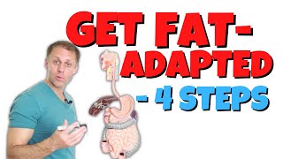 Become Fat Adapted in 4 Steps [upl. by Airtap]