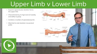 Upper Limb amp Lower Limb – Anatomy  Lecturio [upl. by Kila]