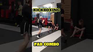 Dynamic Kickboxing Pad Combo Teaching in Class [upl. by Adnylg]