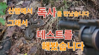 버섯산행 산행중에 독사를 만났을 때 [upl. by Amling]