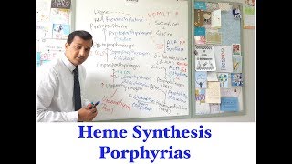 Heme synthesis and Porphyria [upl. by Francisco]