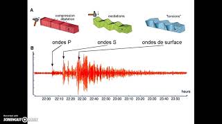 1S 8 Géologie Act2 révisions ondes sismiques [upl. by Nancie540]