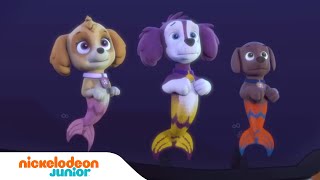 PAW Patrol PAWsome Missions Mission PAW  Nice [upl. by Aneen295]