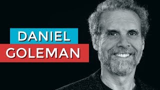 DANIEL GOLEMAN E A INTELIGÊNCIA EMOCIONAL  RODRIGO FONSECA [upl. by Ecissej]