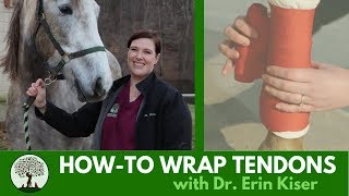 Howto Properly Wrap Tendons with Dr Erin Kiser [upl. by Annehsat]