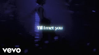 Johnny Orlando  till i met you official lyric video [upl. by Nytnerb]