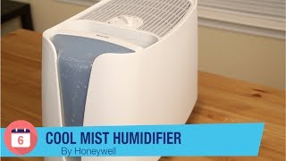 Honeywell Cool Mist Humidifier Review  6 Months Later [upl. by Obellia981]