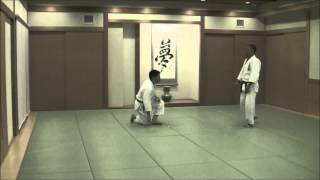 合気道 乱取基本の形17本①当身技Tomiki Aikido Randori 17 Hon Atemi [upl. by Bullen]