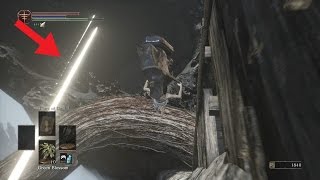 THE RINGED CITY MAJOR SECRET SHORTCUT TO DEMON PRINCE BOSS FIGHT EASY [upl. by Shulman]