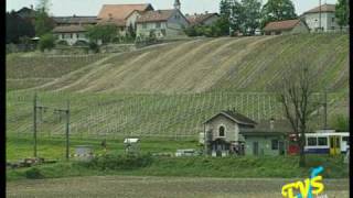 RER Rhone Express Regional Geneve La Plaine  Bellegarde [upl. by Etnovahs]