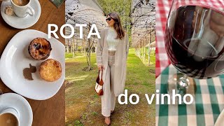 UM DIA EM SÃO ROQUE  passeios vinícolas roteiro e dicas  VLOG [upl. by Eziechiele]