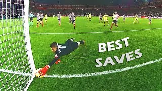 Legendary Goalkeeper Saves in Football [upl. by Matrona]