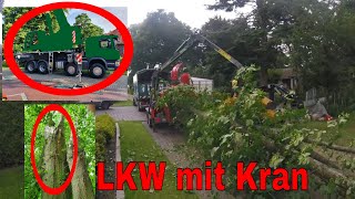 Scania LKW mit Kran  Erster Einsatz  Baumpflege Mertens [upl. by Mauer]