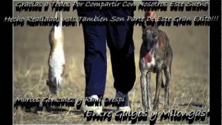 Entre Galgos y Milongas [upl. by An699]