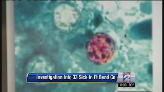 33 cases of cyclospora stomach bug in Fort Bend County [upl. by Savanna]