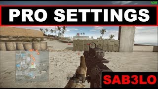 Battlefield Pro Settings  Battlefield 4 [upl. by Pittman]