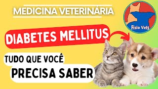 Diabetes Mellitus em Cães e Gatos  Fisiopatologia Manifestações Clínicas e Diagnóstico [upl. by Wernsman]