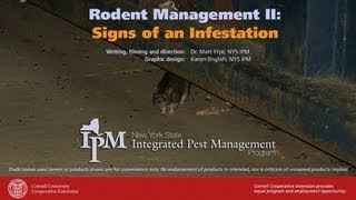 Rodent Management II Signs of a Rodent Infestation [upl. by Nodearb699]