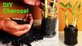 DIY Charcoal For Plants [upl. by Elletnwahs]