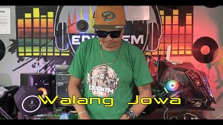 Forever Single  Walang Jowa  Budots Remix  Dj Ericnem [upl. by Anileh]