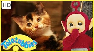 Teletubbies Full Episode  Kittens ★ Episode 182  HD [upl. by Alisun]