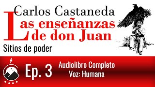 Las enseñanzas de don Juan  Ep 3  Sitios de Poder  Carlos Castaneda  VozChavenato [upl. by Macrae640]