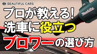 【大絶賛】プロおすすめ！手洗い洗車に役立つブロワーの特徴 [upl. by Reddin]