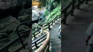 Taiwan beautiful place must visit  SUN LINK SEA FOREST [upl. by Nonnahs247]