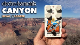 ElectroHarmonix Canyon Delay  Looper Pedal Demo by Bill Ruppert [upl. by Kjersti]