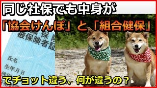 医療 同じ社保、でも中身がちょっと違う「協会けんぽ」と「組合健保」何が違うの？【ユアライフアップガイド】 [upl. by Christensen]