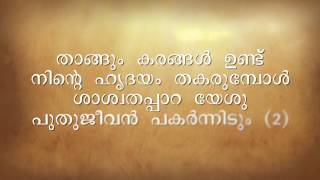 Thangum Karangal Undu  Instrumental  Malayalam Christian Song [upl. by Mcclure325]