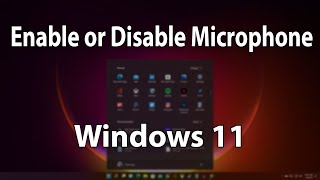 How to Enable or Disable Microphone Access in Windows 11 [upl. by Littman814]