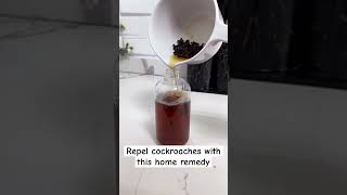 I should definitely try this homeremedies cockroach insectrepellent cloves bayleaf [upl. by Milan]