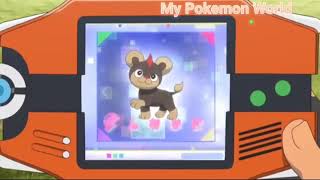 Litleo Pokedex Entry Pokemon xy [upl. by Ultima530]