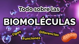 TODO sobre las BIOMOLÉCULAS 🧬📚 Tipos funciones ejemplos [upl. by Eerrehc]