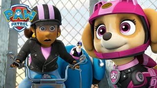 Moto Pups save Mayor Goodway from the Ruff Ruff Pack  PAW Patrol  Cartoons for Kids Compilation [upl. by Ioves]