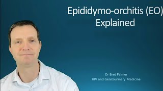 Epididymoorchitis EO explained 49 [upl. by Moyna]