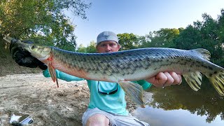 How to Catch Gar  Fishing Tips [upl. by Si184]