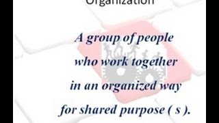 what is an organization [upl. by Sidonie]