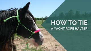 How to tie a rope halter full DIY tutorial [upl. by Akamaozu346]