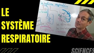 Sémiologie Respiratoire  La Toux [upl. by Aibun]