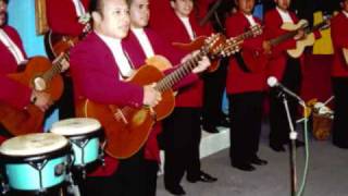 Rondalla Romántica de Guanajuato Por Ella [upl. by Salkcin]