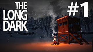 Long Dark Gameplay Updated  Lady Survivor Time  Part 1 [upl. by Eimyaj787]