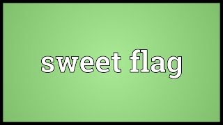 Sweet flag Meaning [upl. by Spalding]