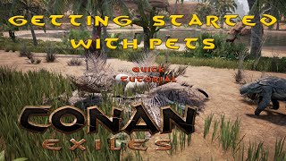 Conan Exiles  Getting started with Pets The Basics of keeping animals  Quick Tutorial [upl. by Lindley702]