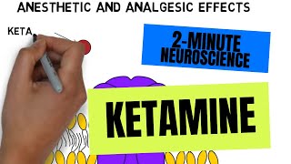 2Minute Neuroscience Ketamine [upl. by Alduino]