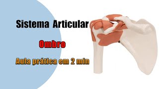 Articulação do ombro e seus Ligamentos  Anatomia Humana  Anatomia [upl. by Netsew338]